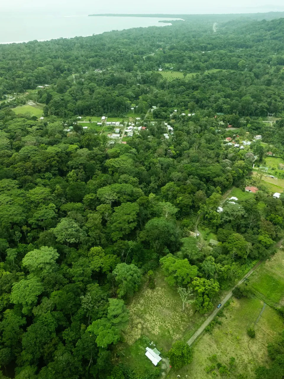 ID 1134: 3960m² Flat Development Lot Near Cahuita, Costa Rica - photo 13