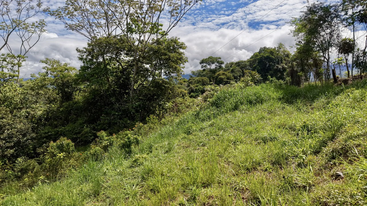 Countryside Home Construction Site For Sale in Buenos Aires - photo 4