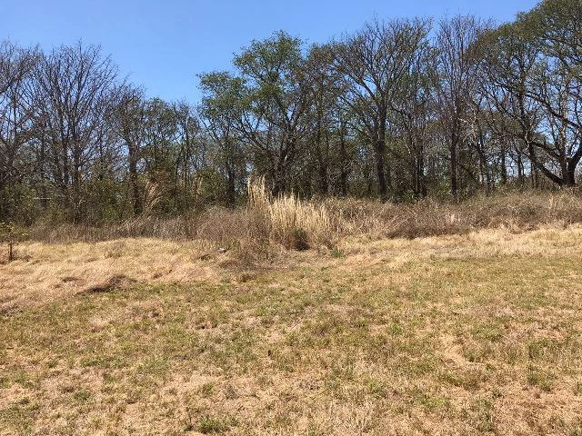 Huge terrain for sale in Guardia close to the International Airport of Liberia - Gallery image 6