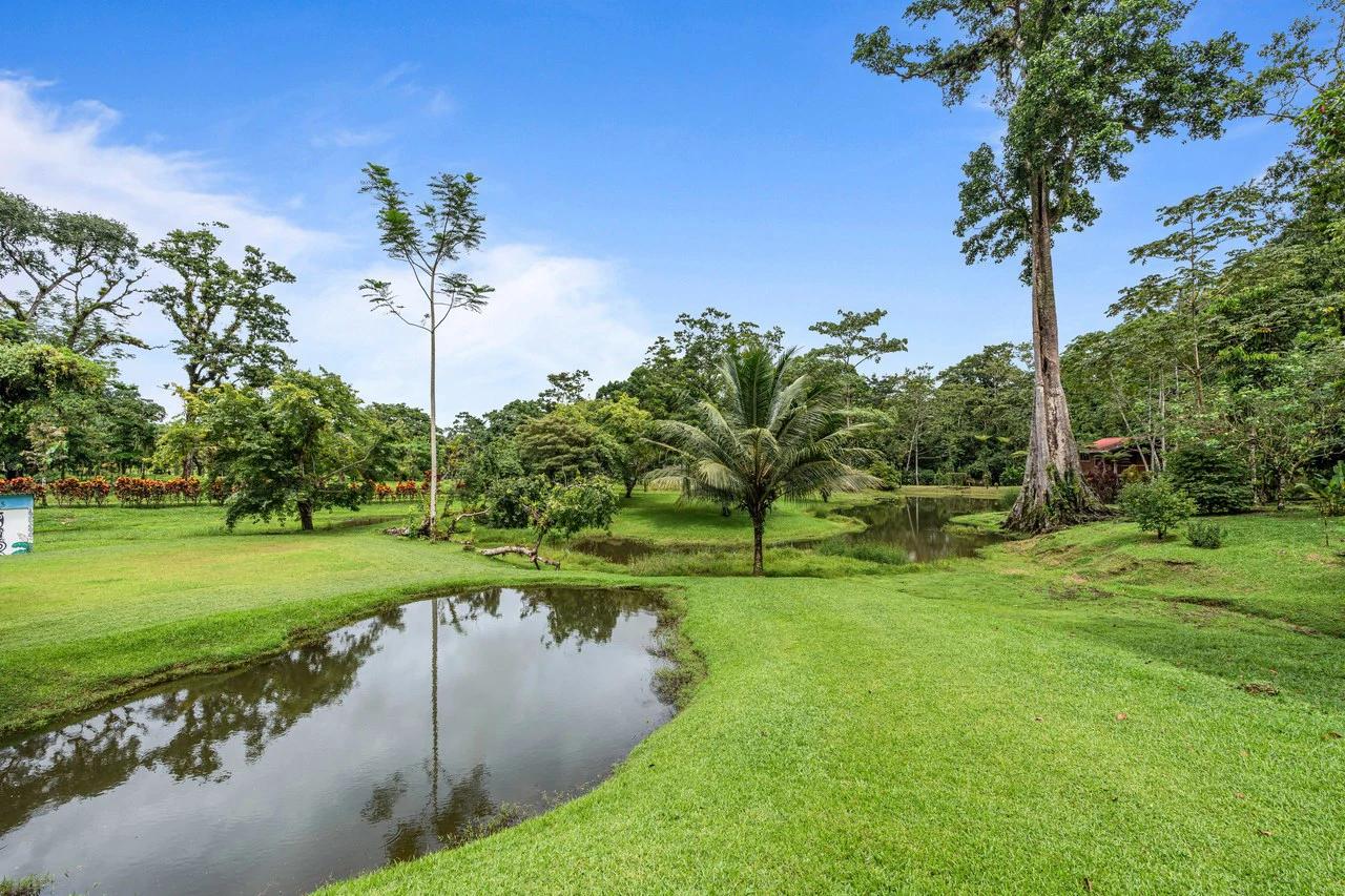 Finca Mei Tai: Enchanting property! Don't miss your chance to own a piece of paradise! - Gallery image 17
