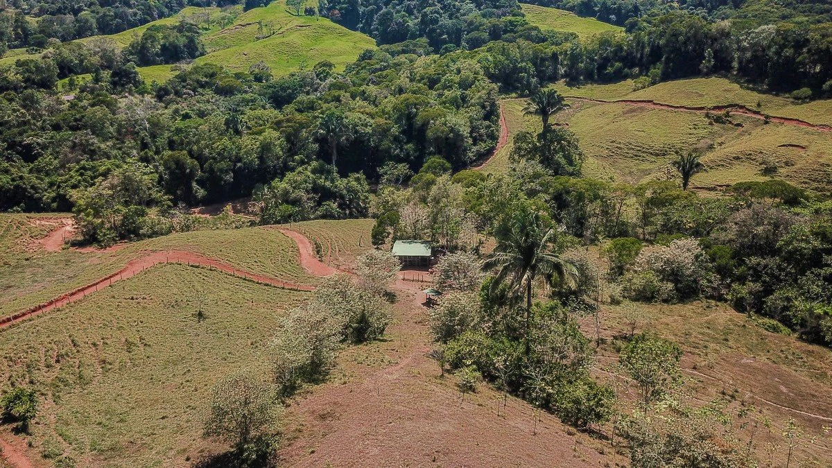 8.77 ACRES – Private Land Just 20 Min to Dominical, Beautiful Mountain Views, Legal Water, Electricity, Public Road, Private Setting, Ready to Build!!!! - Gallery image 8