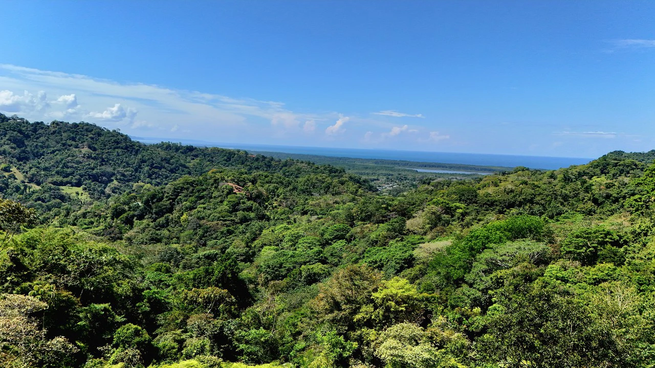 Ocean View Property with River & Waterfall Access – Tres Ríos de Osa - Gallery image 10