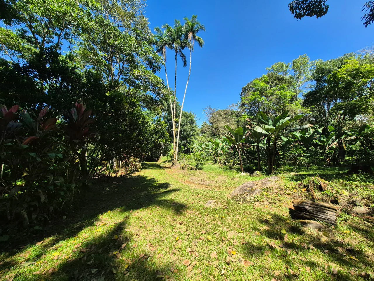 Mountain Home Construction Site For Sale in Centro de Pérez Zeledón - Gallery image 17