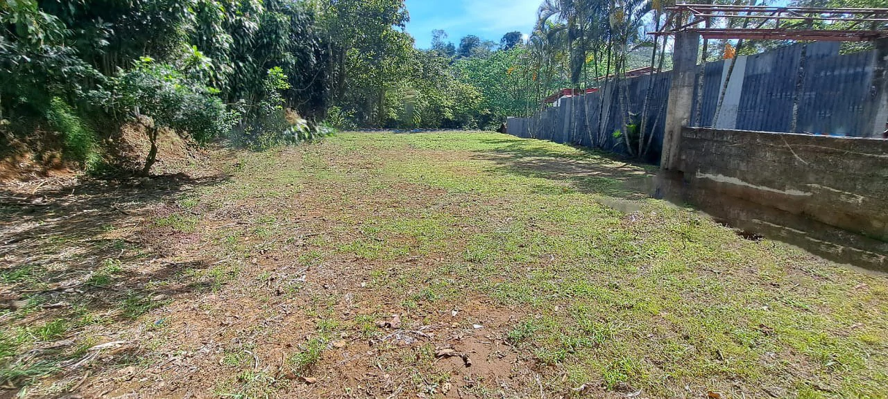 Land for Sale in Sarchí, Alajuela - Gallery image 3