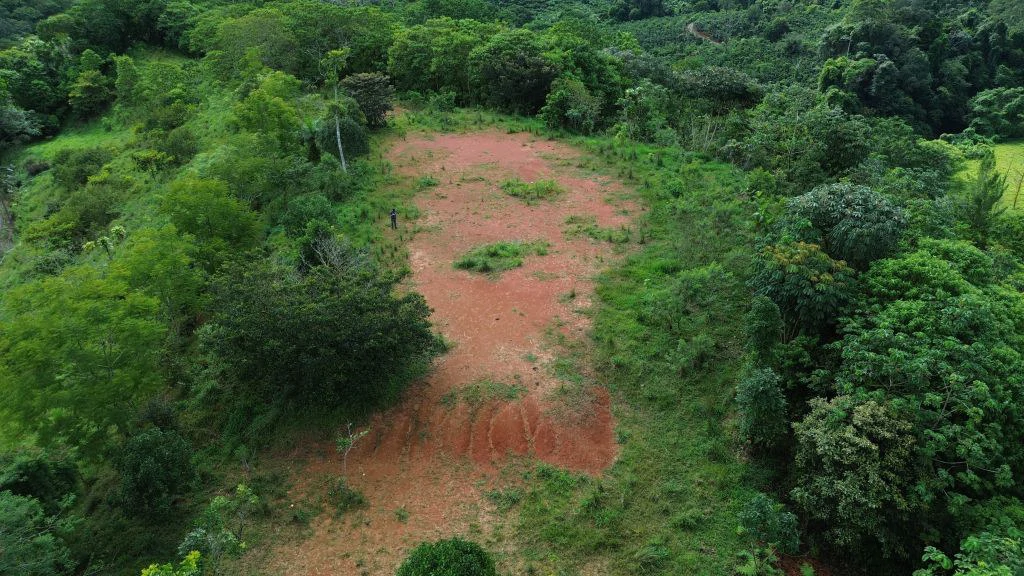 Mountain and Countryside Agricultural Land For Sale in Platanares - photo 10