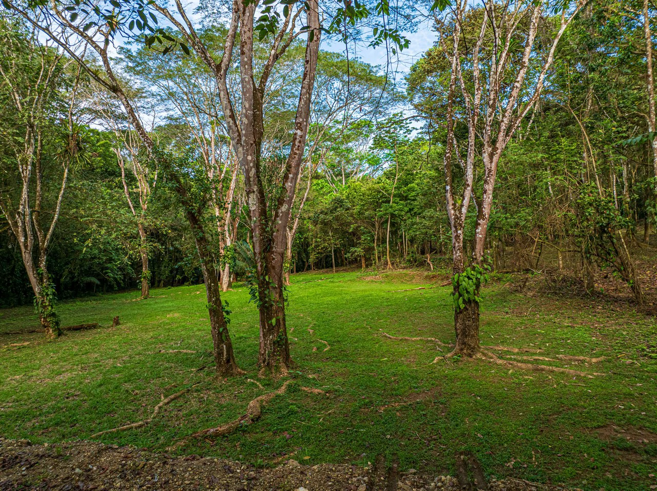 Rare 86-Acre Ocean View Estate Bordering Hacienda Barú – A Unique Opportunity for Conservation and Development - Gallery image 9