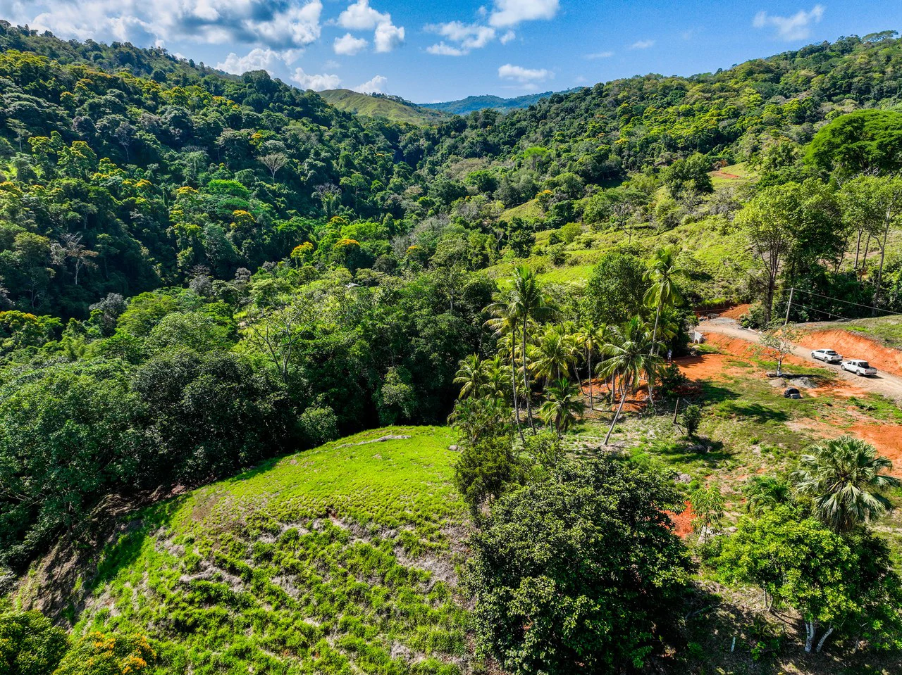 Just Over 3 Acres Riverfront Land in Platanillo Above Dominical - Gallery image 10