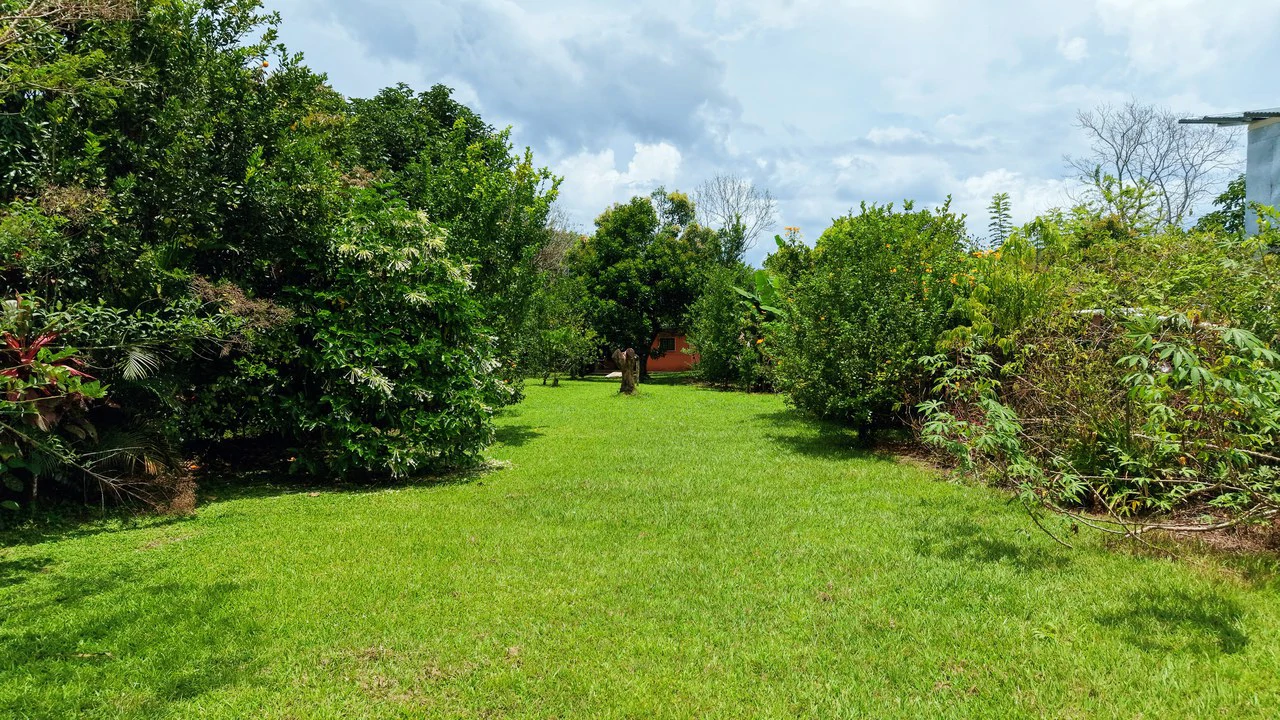 LOTE PLANO CON FRUTALES: Mountain Home Construction Site For Sale in General Viejo - Gallery image 5
