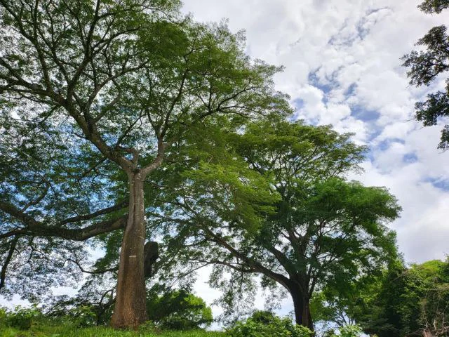 Charming property for sale in Nueva Guatemala with stunning views of the Tenorio Volcano and the beautiful green valleys - Gallery image 15