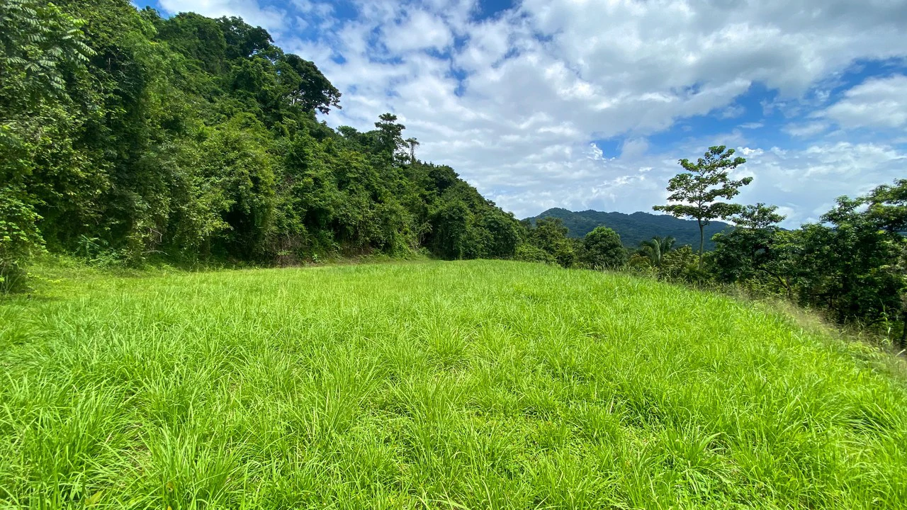 Ocean View Lot for Sale Guanacaste Costa Rica San Miguel Beach Tittled - Gallery image 7