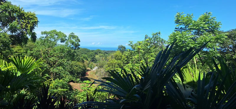 Ocean-View Retreat in Jardines de Morete, Uvita - Gallery image 23
