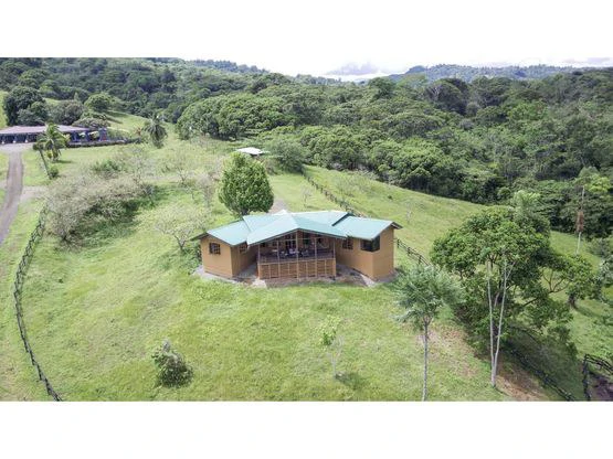 Serene Jungle Farm in Limon Province - Gallery image 45