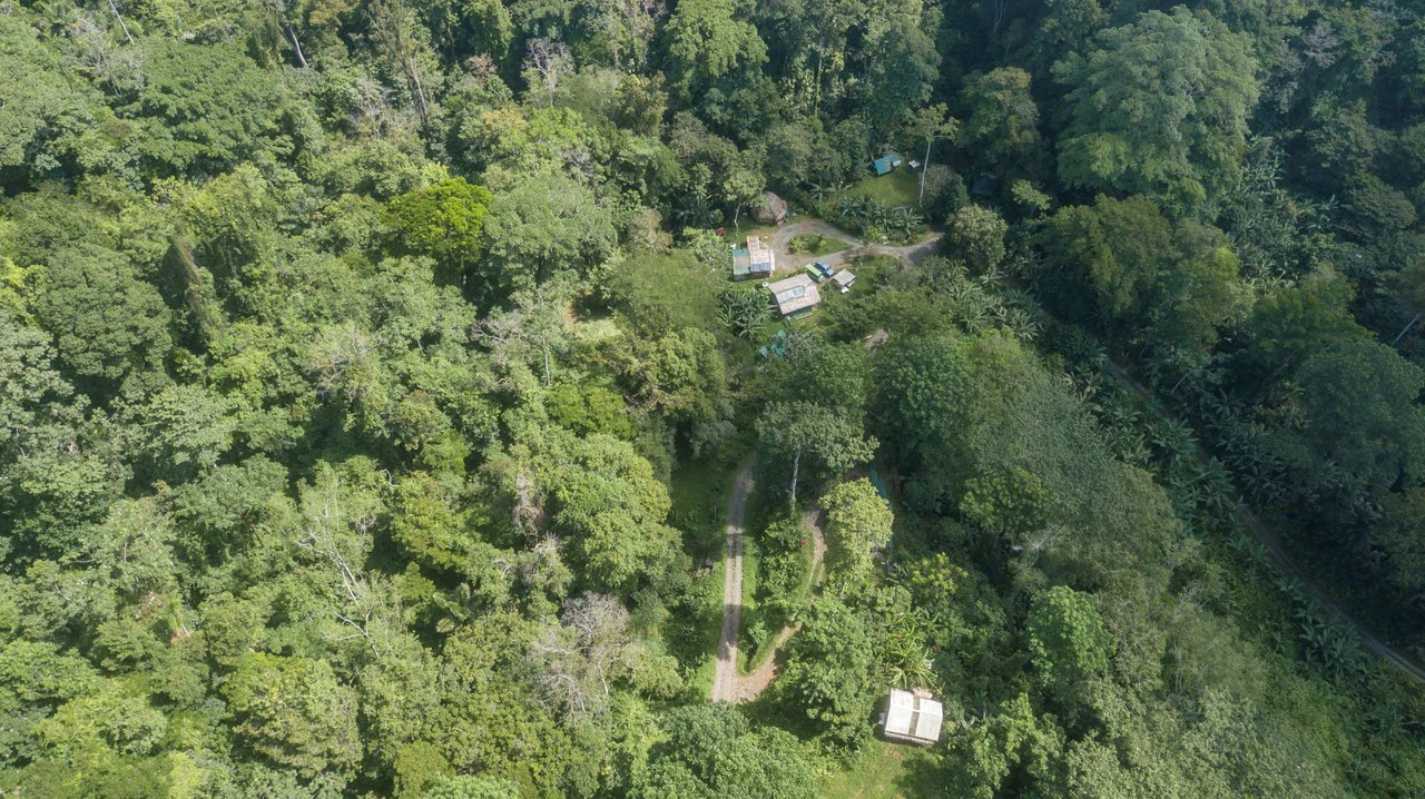 Mountain-Edge Sanctuary with Private Waterfall: 3 Titled Jungle Lots with Platforms, Waterfall, and Income Potential