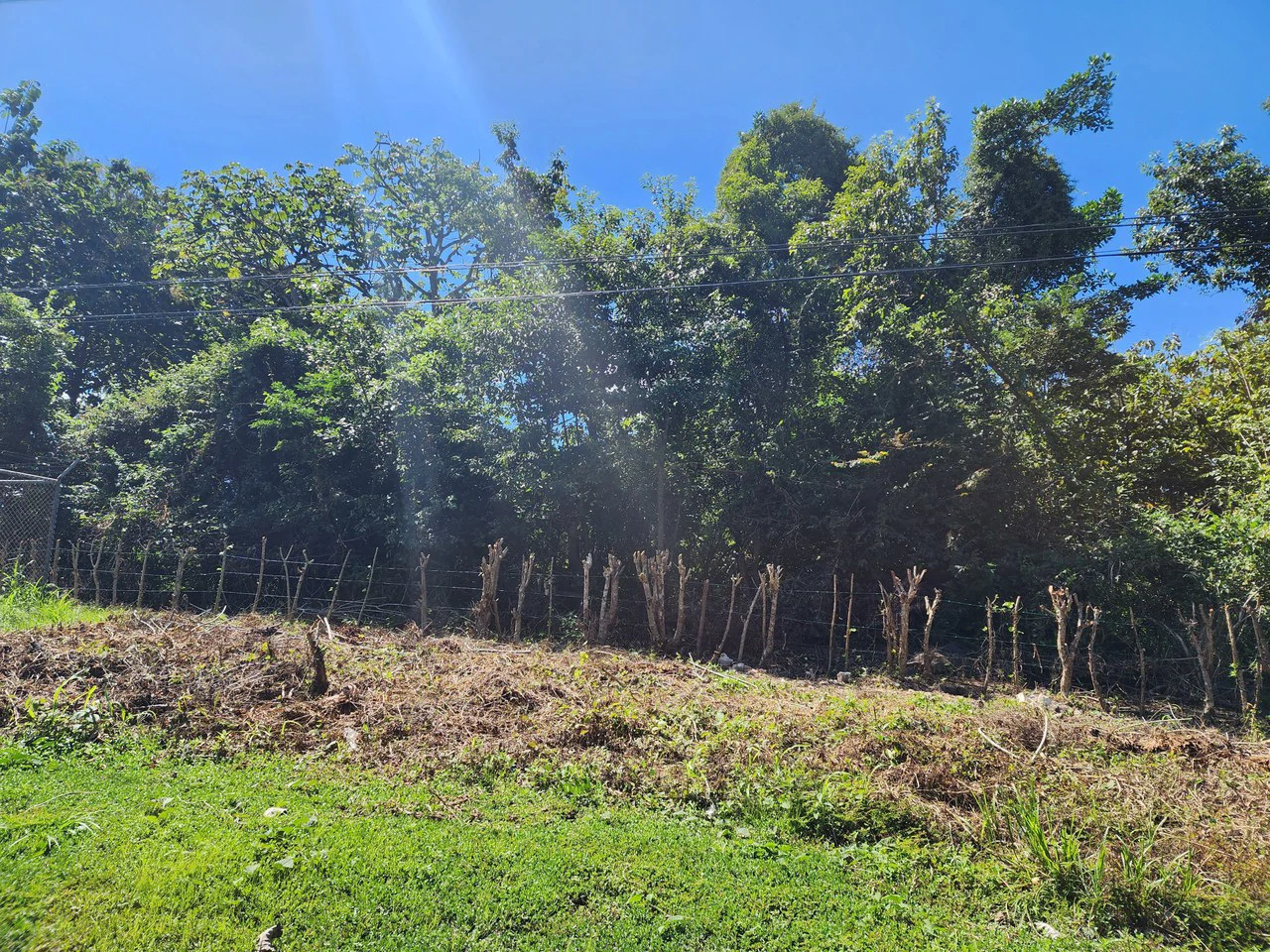 Near the Coast and Countryside Development Parcel For Sale in Coyolar - Gallery image 6