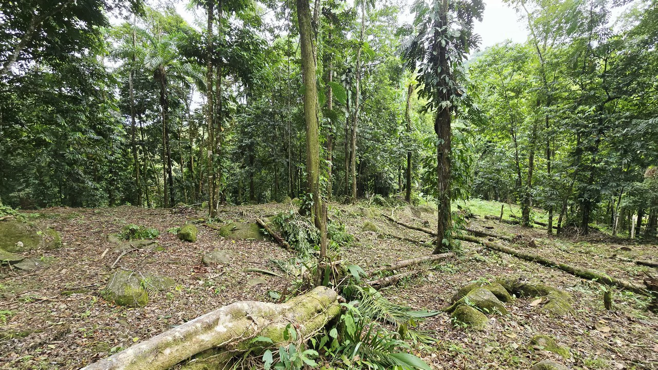 Near the Coast Home Construction Site For Sale in Uvita - photo 12