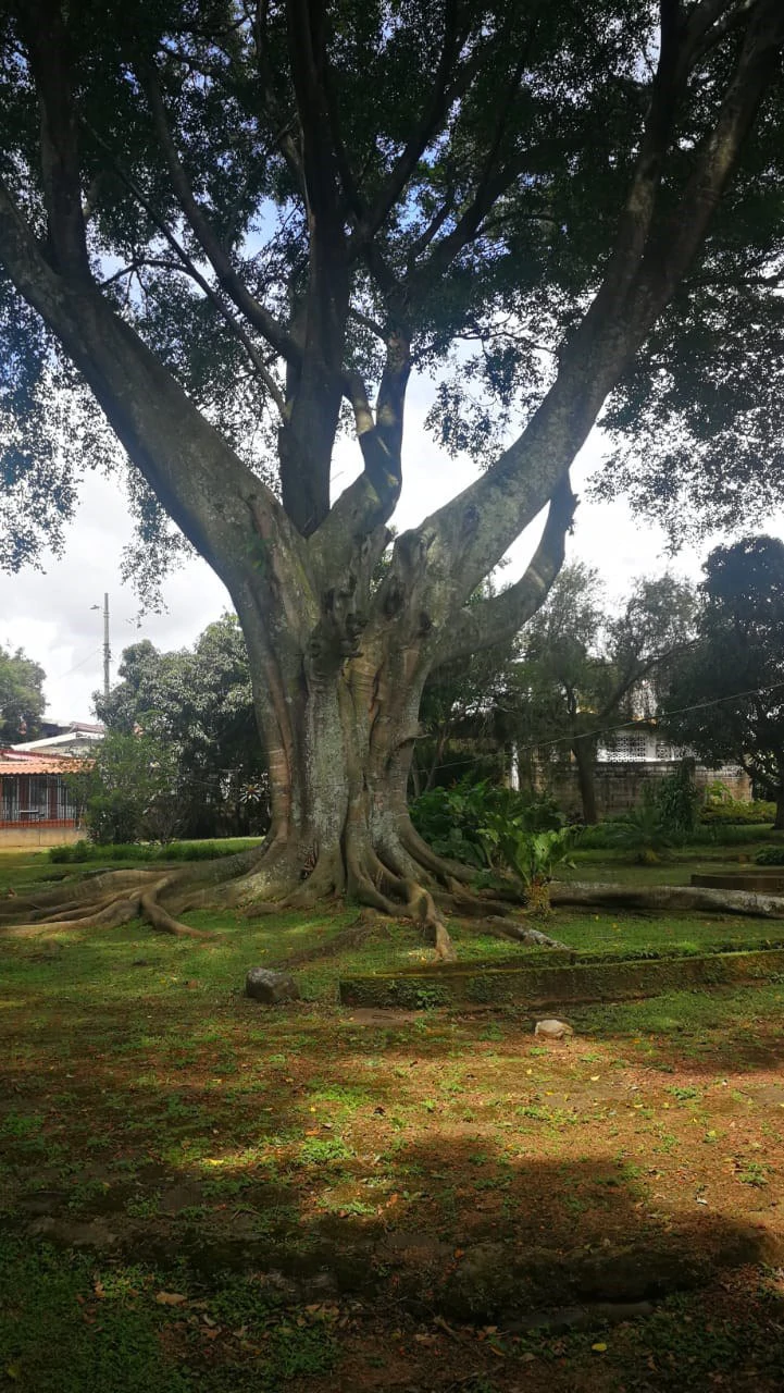 Home Construction Site For Sale in Escazú - Gallery image 16