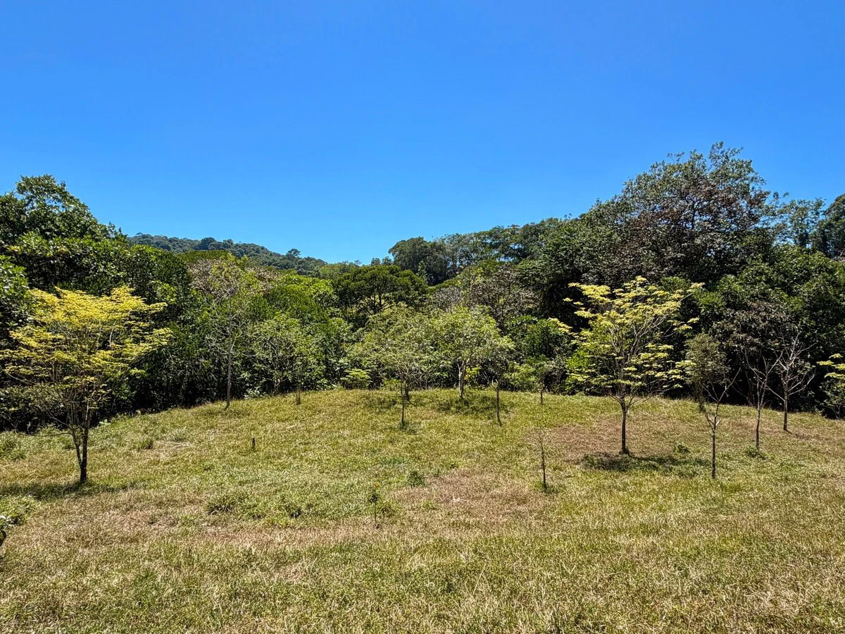 8.77 ACRES – Private Land Just 20 Min to Dominical, Beautiful Mountain Views, Legal Water, Electricity, Public Road, Private Setting, Ready to Build!!!! - Gallery image 16