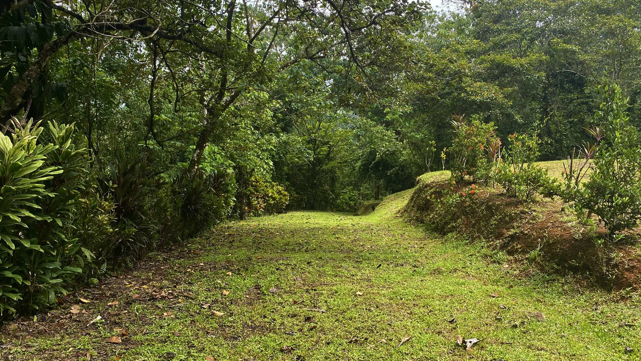 Mountain Home Construction Site For Sale in Tres Rios - Gallery image 4