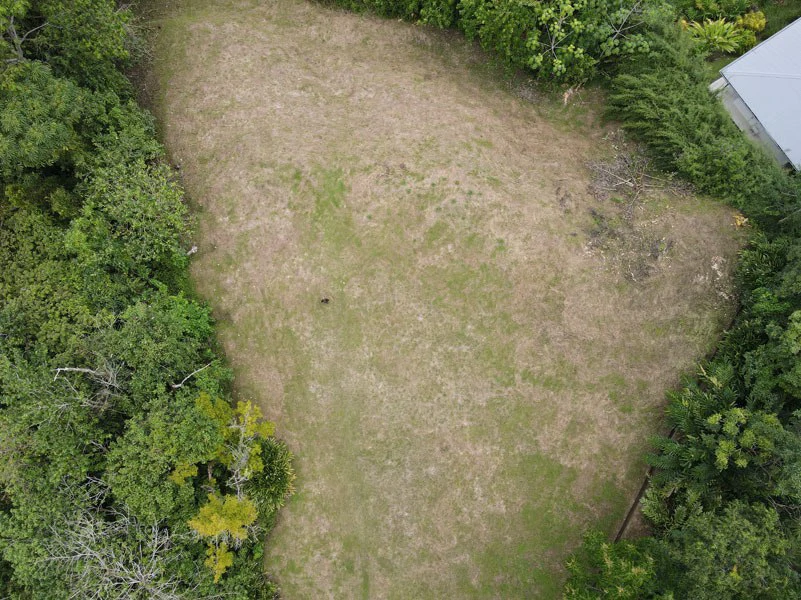 Panoramic 180 Degree Ocean View Lot Ready To Build Close To Ojochal - Gallery image 39