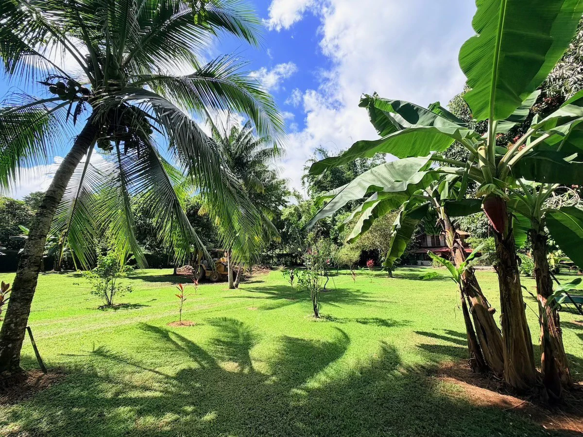 Osa Peninsula Turnkey Property Near Golfo Dulce Beach - Gallery image 28