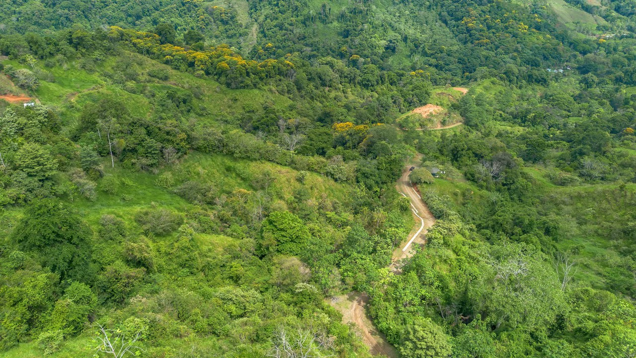 60+ Hectares in Platanillo | Own Your Own Mountain in Costa Rica - Gallery image 22