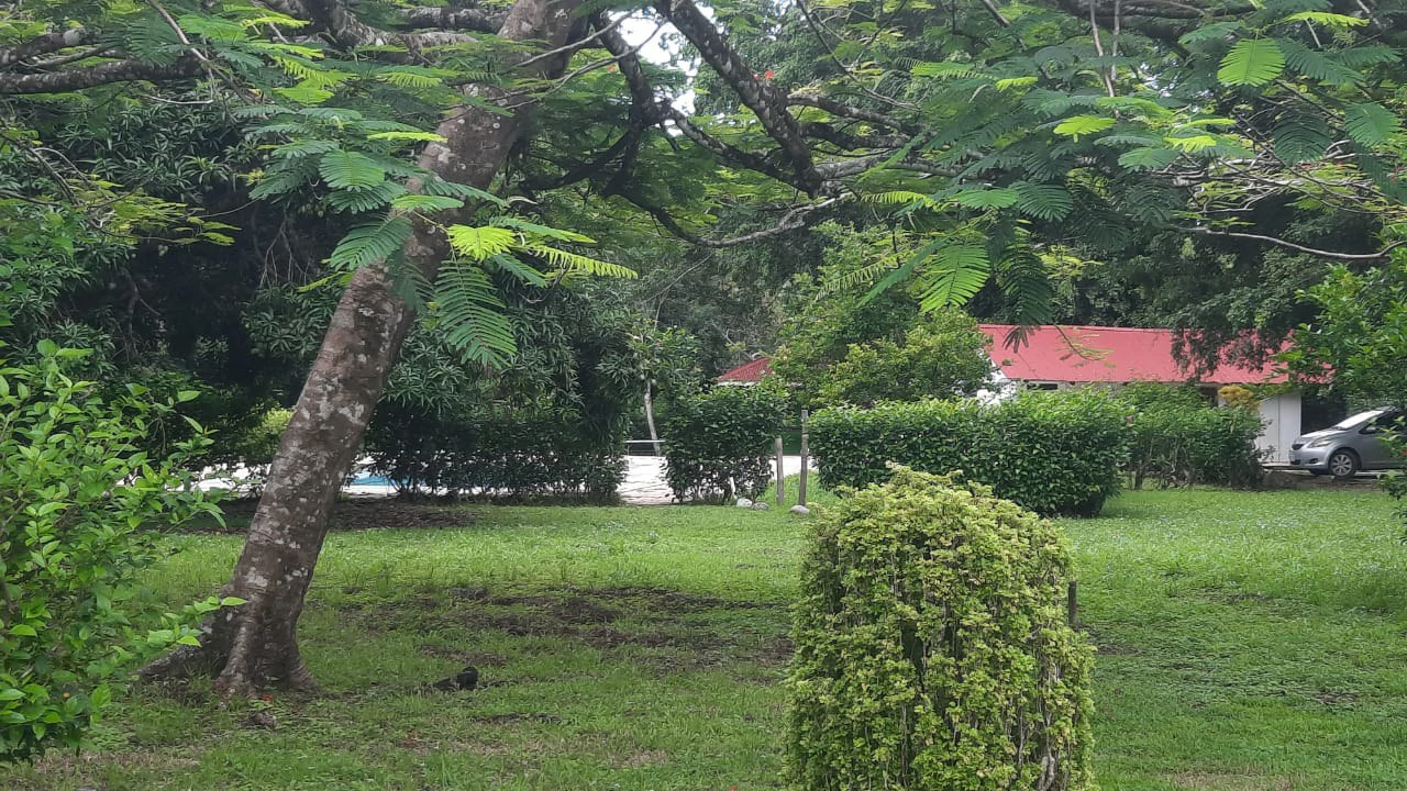 Agricultural Land For Sale in Jacó - Gallery image 2