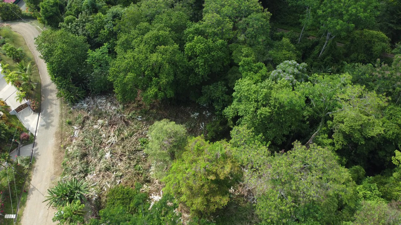 Ojochal - 1 Acre Ready To Build Jungle Lot, Ocean Breezes in Wildlife Corridore - Gallery image 6