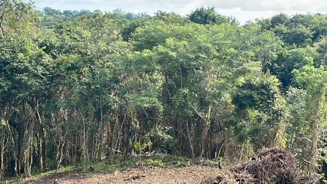 Beautiful Property for Sale in the Mountains of San Juanillo – Prime Land with Building Potential Just 10 Minutes from the Ocean - Gallery image 2