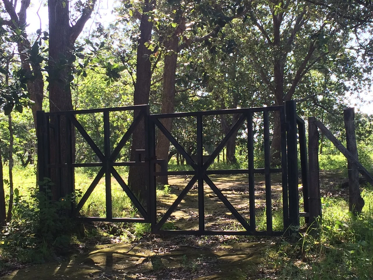 Finca de 31 hectáreas en Liberia: Great investment opportunity