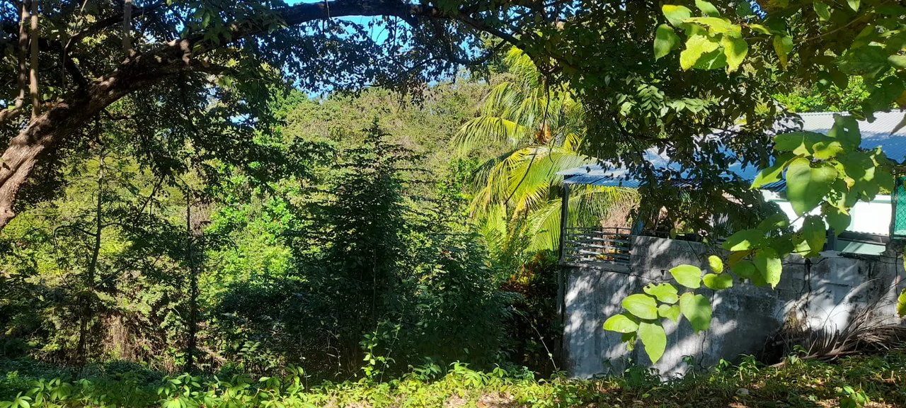 Playa Carrillo Lot: 200 meters to Playa Carrillo - Gallery image 12