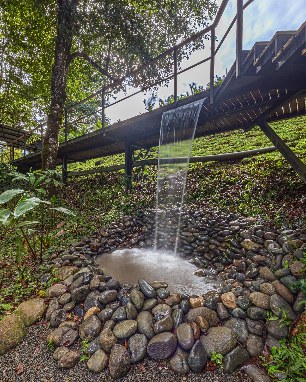 La Sombra Villas: Where Nature Meets Comfort in Tinamates! - Gallery image 18