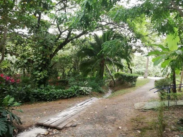 Hotspring Resort for sale in Salitral, Cold and Warm spring swimming pools surrounded by teak and eucalyptus rustic cabins - Gallery image 7