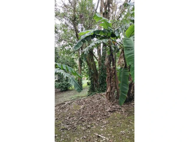 Countryside, Lakefront and Mountain House For Sale in Arenal - Gallery image 14