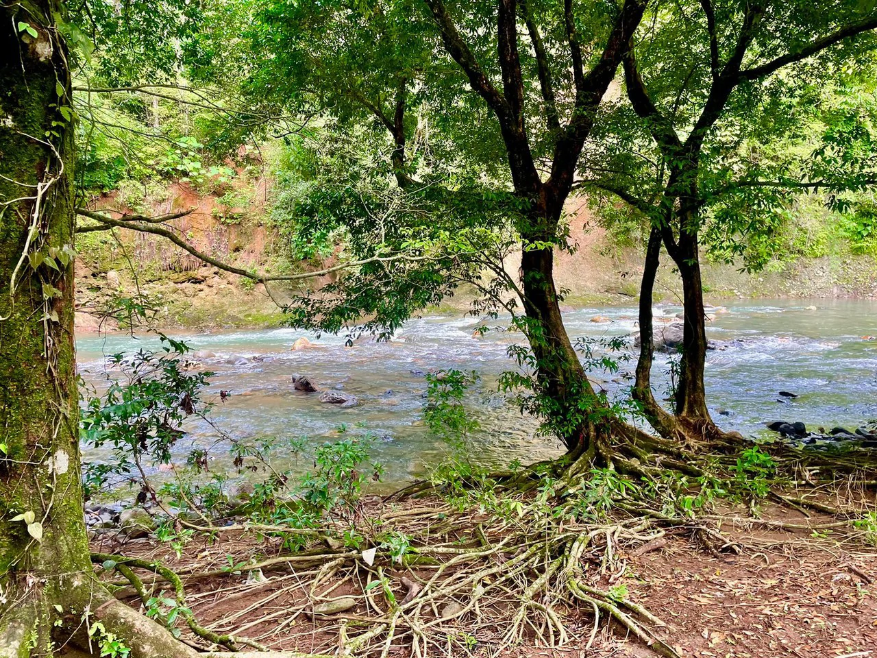 Property for Sale for Tourism Development with River in Orotina Alajuela Costa Rica - Gallery image 9