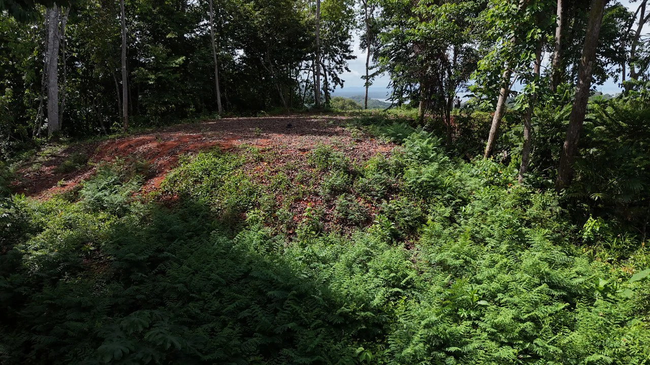 Spectacular Ocean view on 7.7 acres: Mountain Home Construction Site For Sale in Bahía Ballena - Gallery image 8