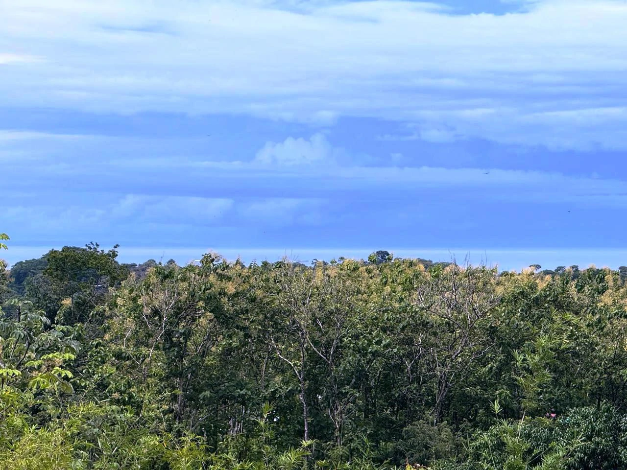 Prime Ocean View Development Property in Downtown Uvita - Gallery image 13