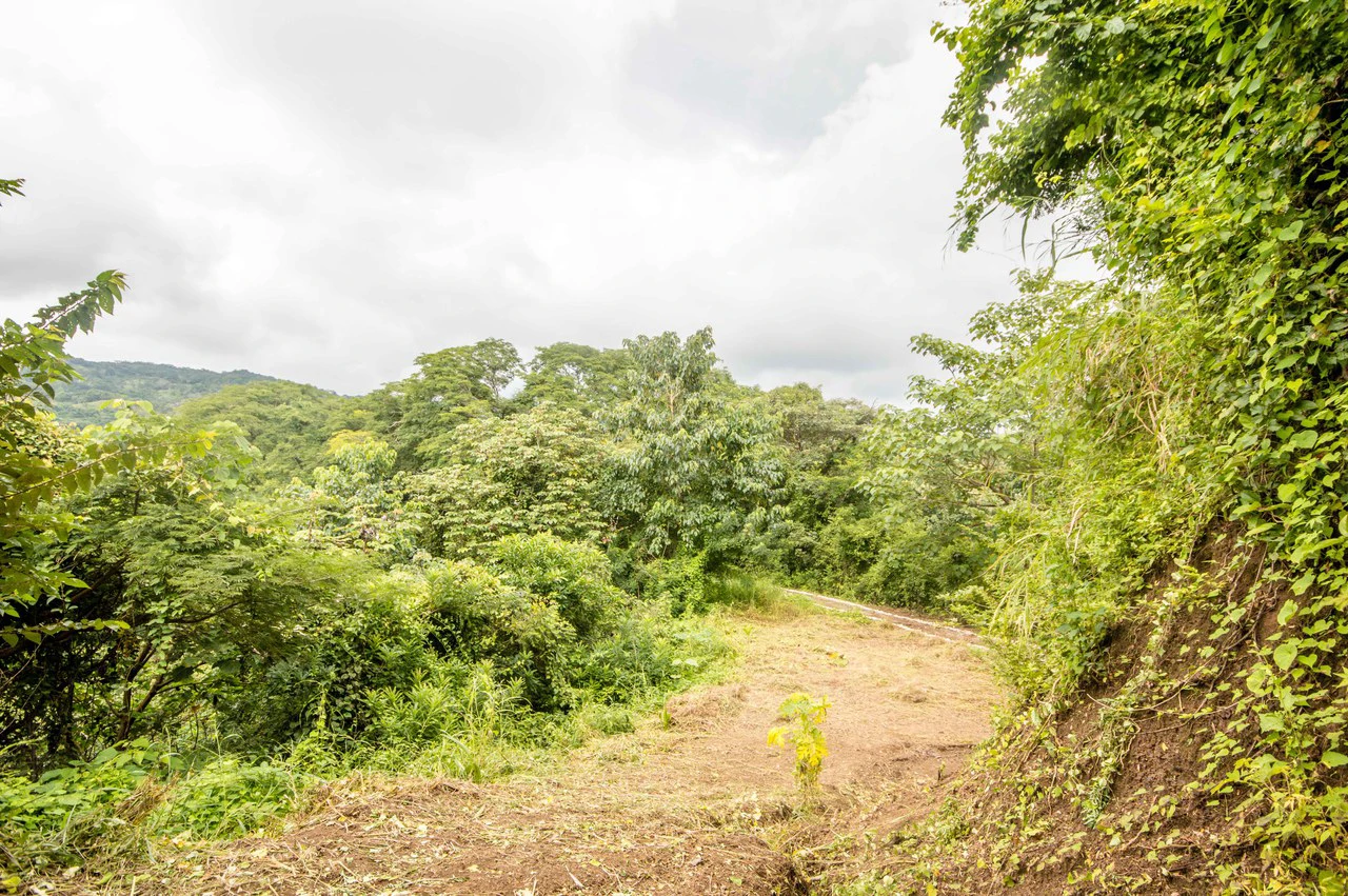 Finca del Cusuco: Hills of Buena Vista - Gallery image 9