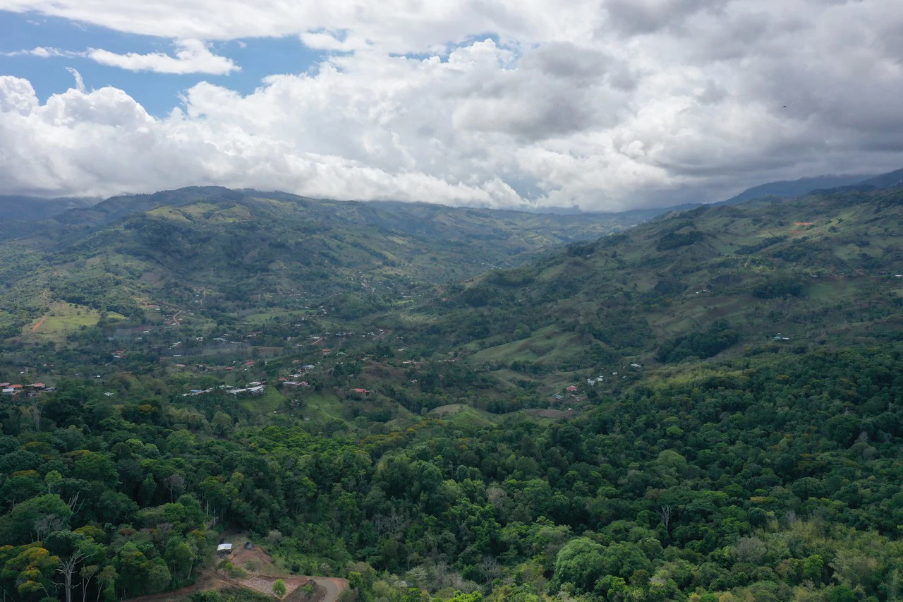 Elevated Two and a Half Acres with Cool Breeze in San Isidro del General - Gallery image 23
