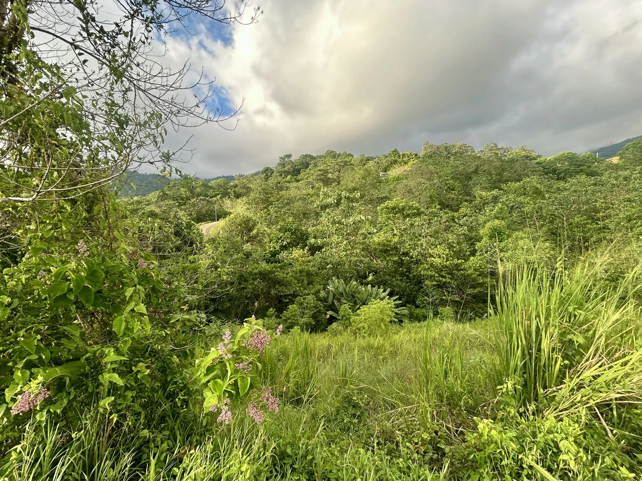 Price Reduced! Panoramic Ocean View Lot in Prestigious Phase 11 Ojochal – 2.77 Acres with Luxury 3D Home Design Included - Gallery image 34
