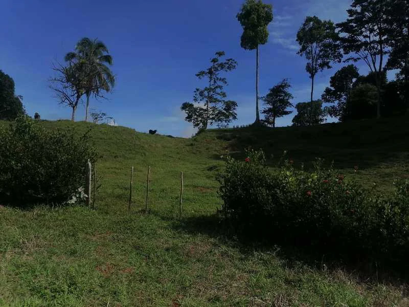 69.16 Acres Property | Mountain & Top Ocean View with Small Home - Gallery image 27