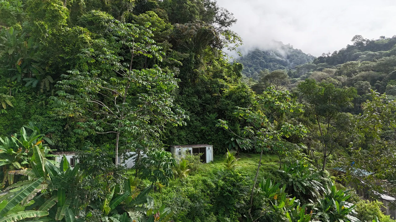 Exceptional Ocean & Mountain View Property in Pinuela Arriba, Costa Rica - Gallery image 7