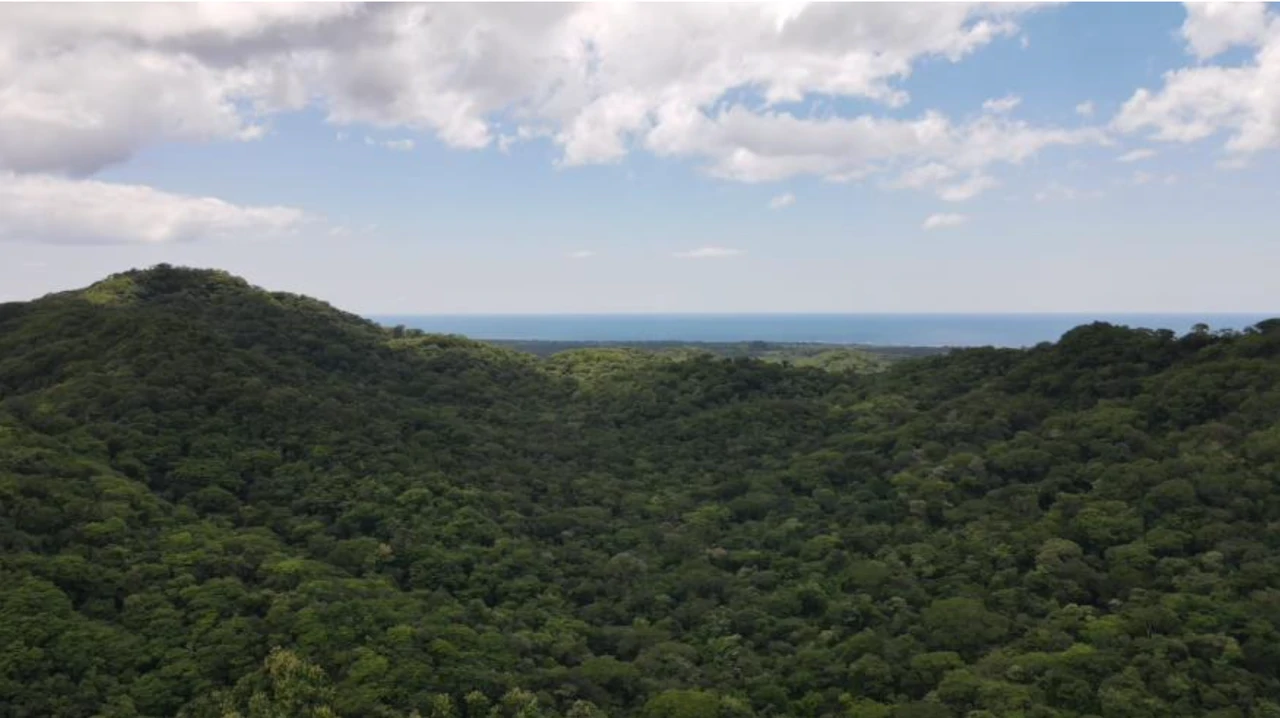 First Time Listed! Playa Avellanas Costa Rica Ocean View Development Land for Sale. Water and Land letter in Place. A Developer Dream! - Gallery image 3