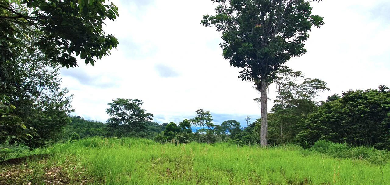 GULF VIEW PROPERTY IN PUERTO JIMENEZ, COSTA RICA