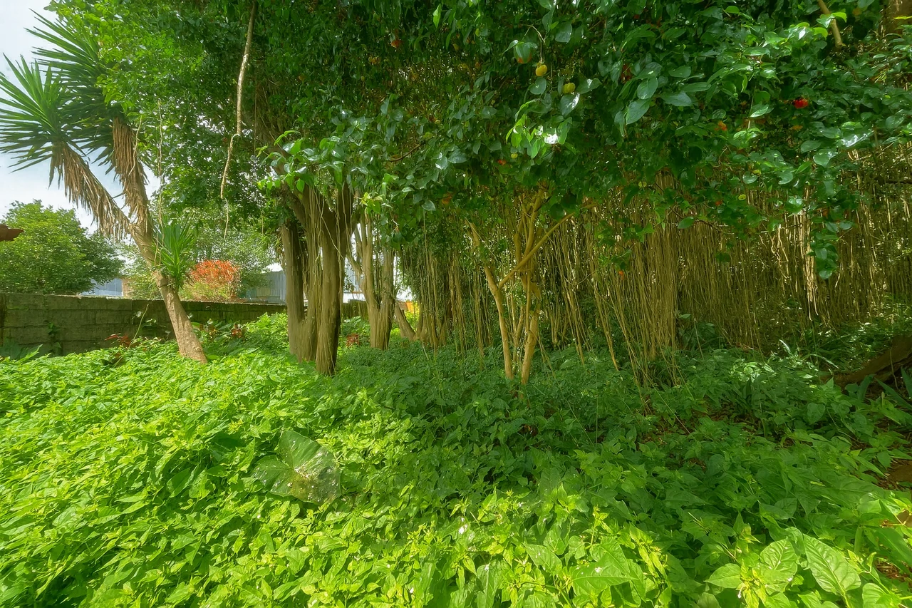Barrio Pilar, Guadalupe: Development Lot for Sale in Barrio Pilar, Guadalupe – 2,227 m² with Mixed Land Use for Commercial or Residential Projects - Gallery image 9