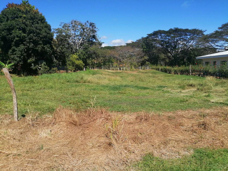Fantastic large lot in Peaceful Monterrey: Quiet community close to the beach in Esterillos! - Gallery image 2