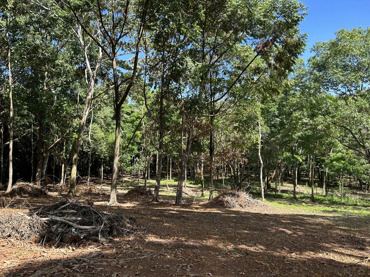 Cabo Matapalo:  3.8 Acre Ocean View Lot In Peninsula De Osa, Golfo Dulce - Gallery image 10