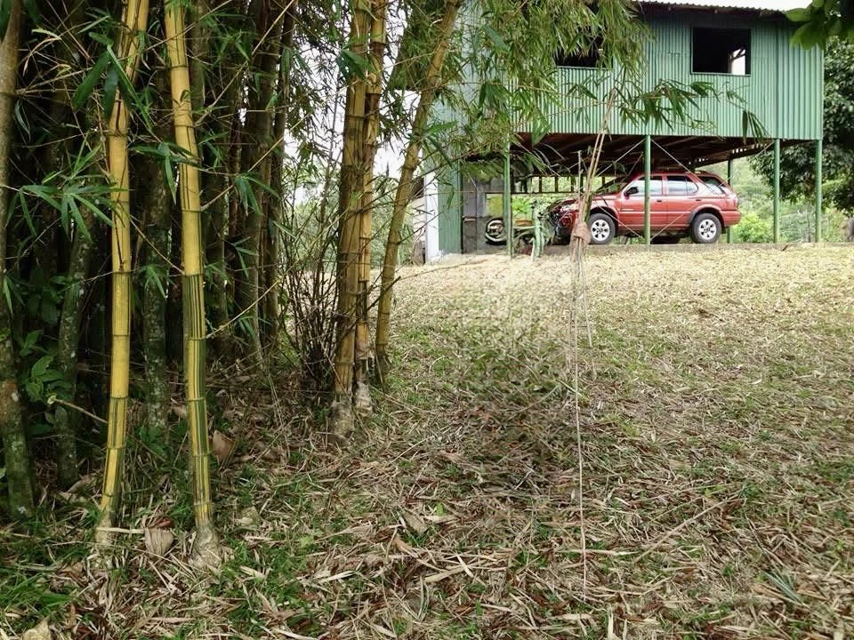 Spectacular 72.44 acres: Magical rain forest paradise with river, waterfall, hiking trails, diverse wood and fruit trees. Perfect location for retreat development, hotel or home. - photo 11