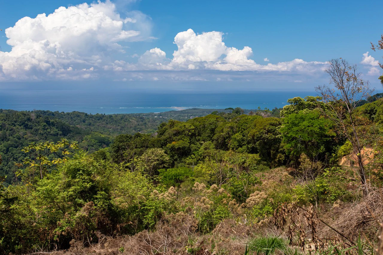 101 Acre Waterfall Riverfront and Ocean View Farm in Playa Uvita - Gallery image 17