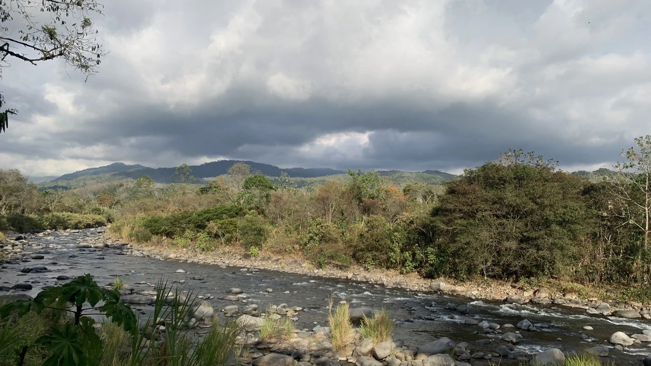 Talari Hotel: Nature and Bird Lover's Paradise - Mountain Lodge - Gallery image 4