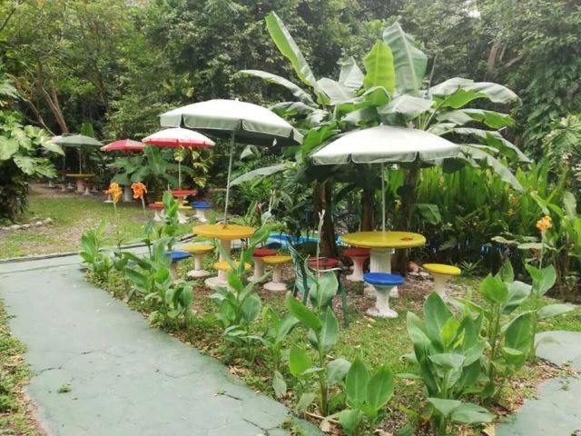 Hotspring Resort for sale in Salitral, Cold and Warm spring swimming pools surrounded by teak and eucalyptus rustic cabins - Gallery image 10